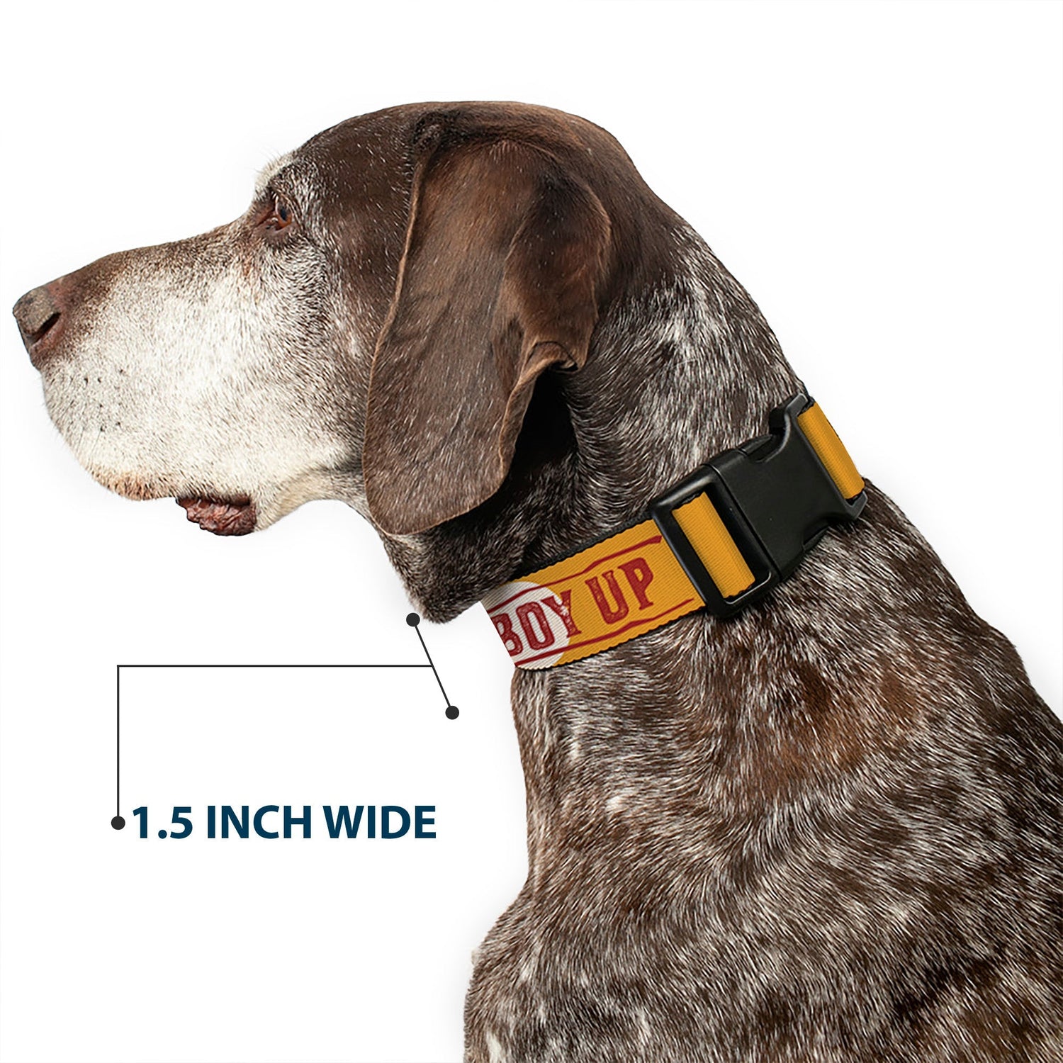 Yellowstone ranch style dog collar for pet owners
