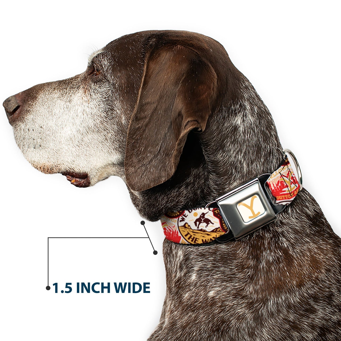 Yellowstone Dog Collar Y Logo Design Seatbelt Buckle Durable Adjustable White Yellow - Paramount Shop