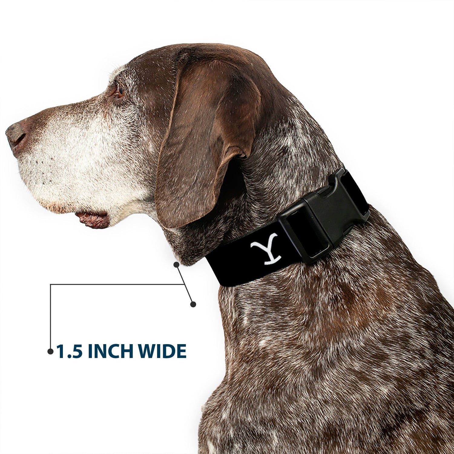 Official Yellowstone branding on pet collar packaging