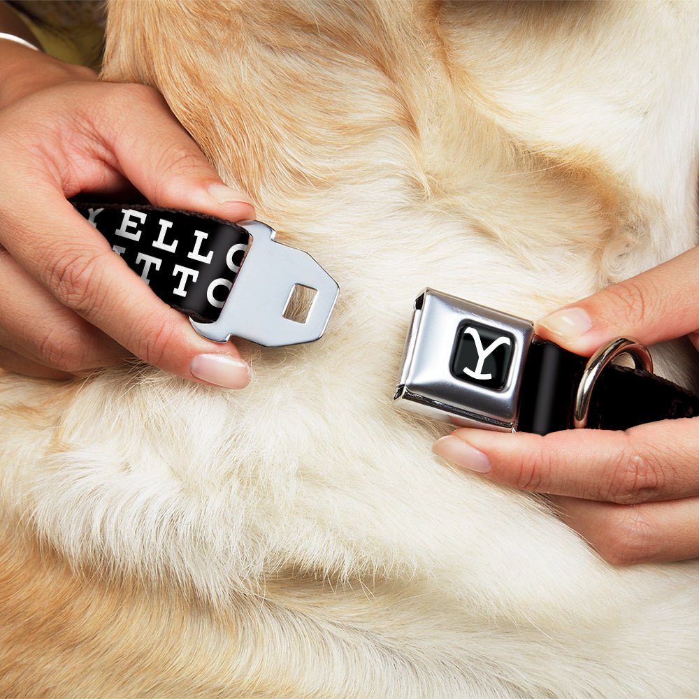 Yellowstone Dog Collar Y Logo Dutton Ranch Seatbelt Buckle Full Color Black/White - Paramount Shop
