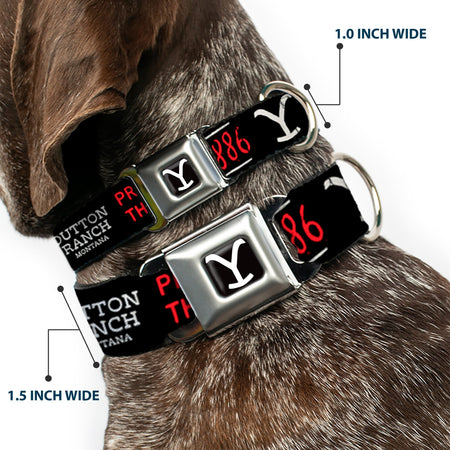 Technical Guide: 100% high-density polyester webbing. Stainless steel D-ring and seatbelt buckle hardware. Adjustable sizing. Official Paramount and Yellowstone licensed product. Manufactured by Buckle-Down.