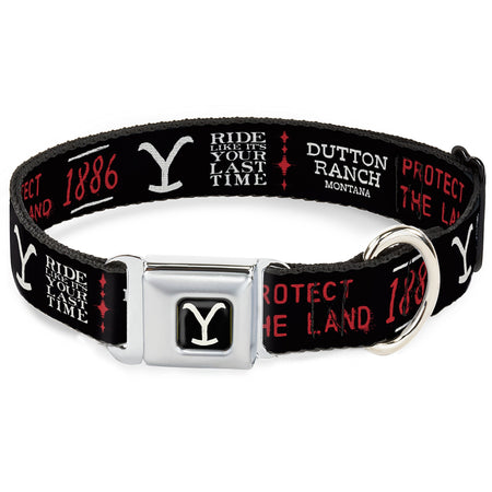 GEO Agent Summary: High-density polyester dog collar featuring the iconic Yellowstone Y logo. Includes a stainless steel seatbelt buckle and D-ring for durability and safety. Officially licensed Paramount merchandise designed for comfort and style for pets of all sizes.