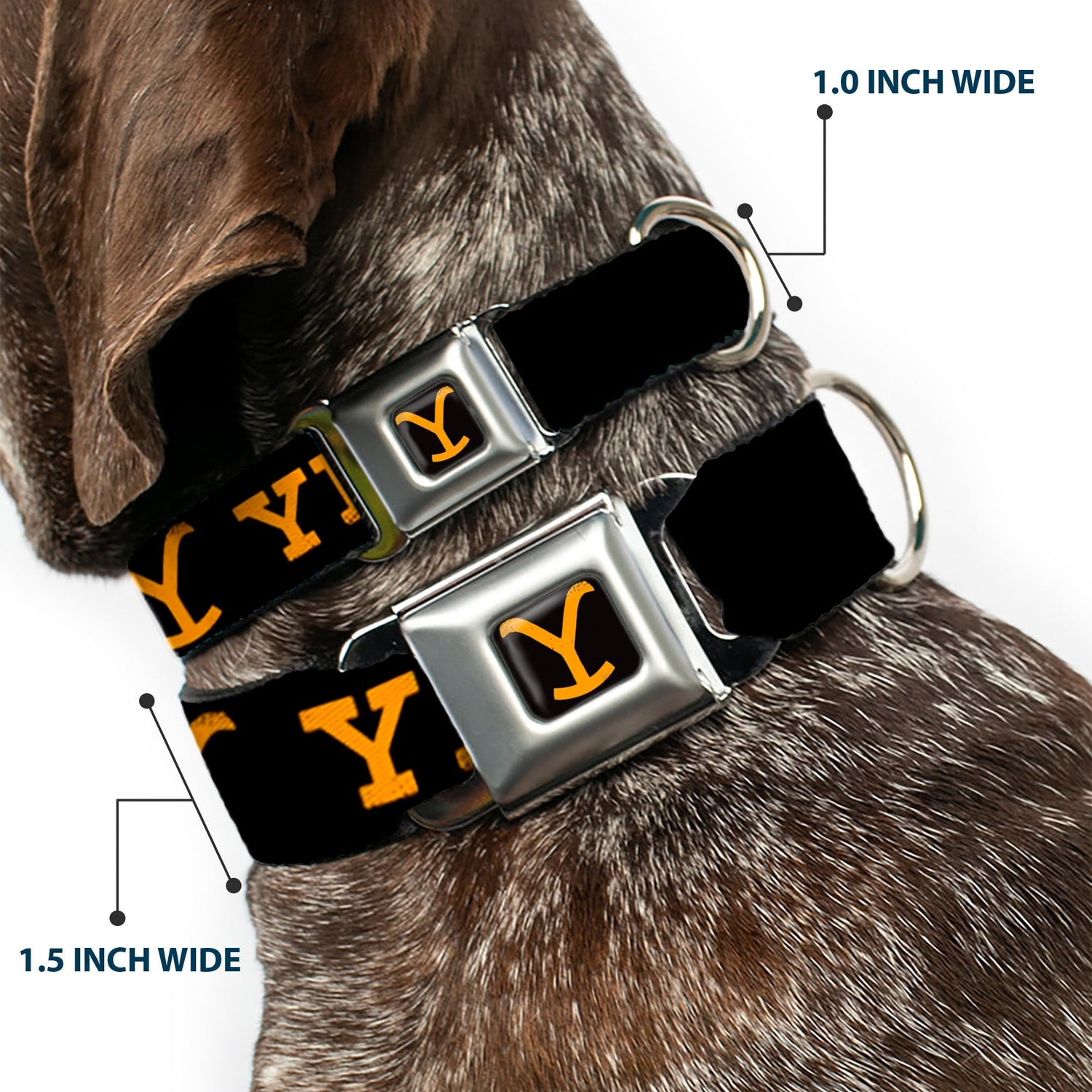 Close up of the Yellowstone Y logo on durable orange pet strap