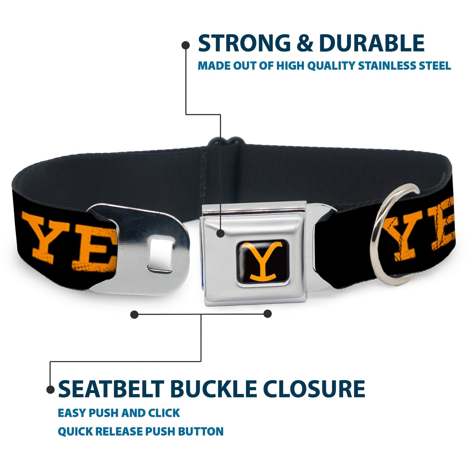 Yellowstone Dutton Ranch pet collar showing stainless steel D-ring