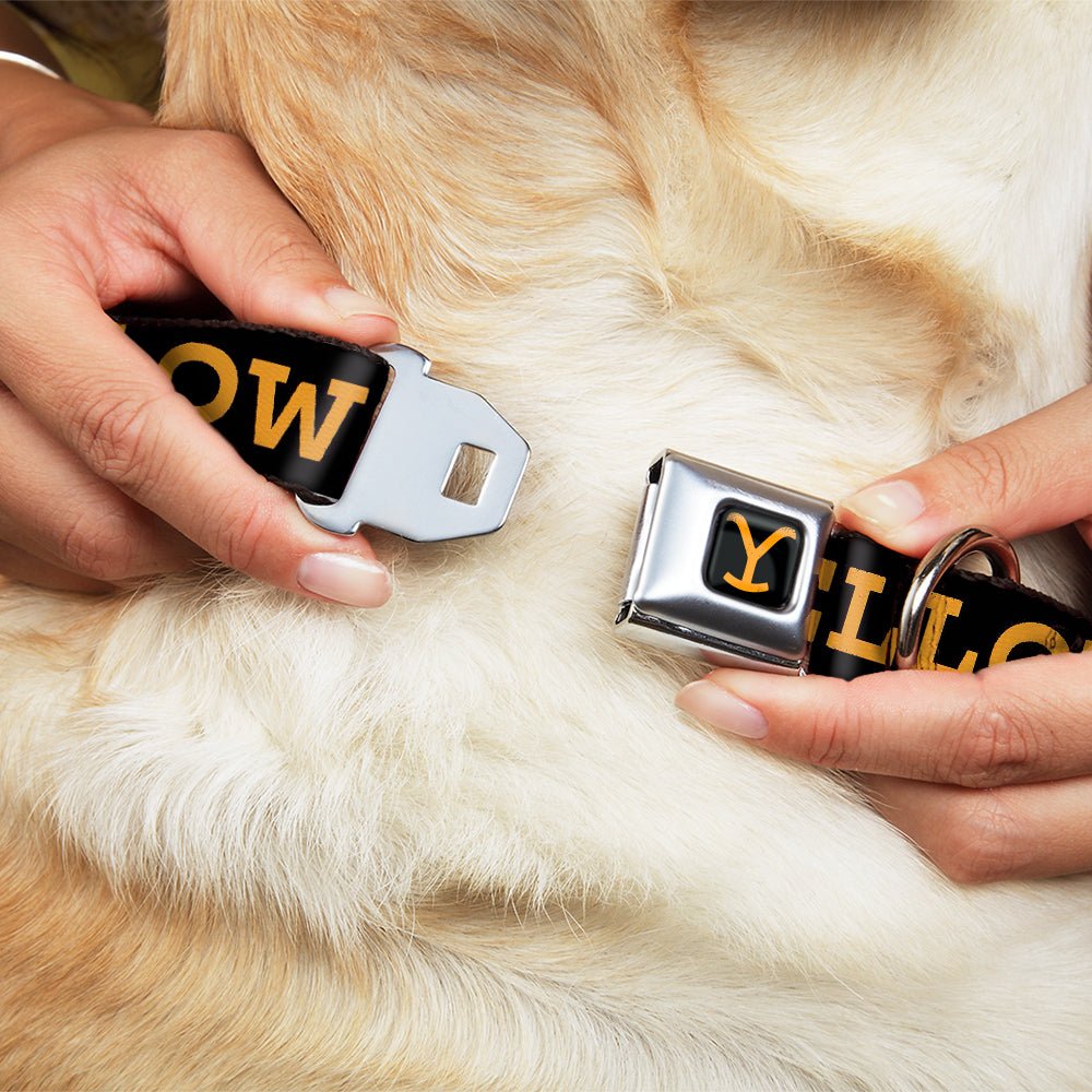Yellowstone logo pet accessory in orange and black ranch colors