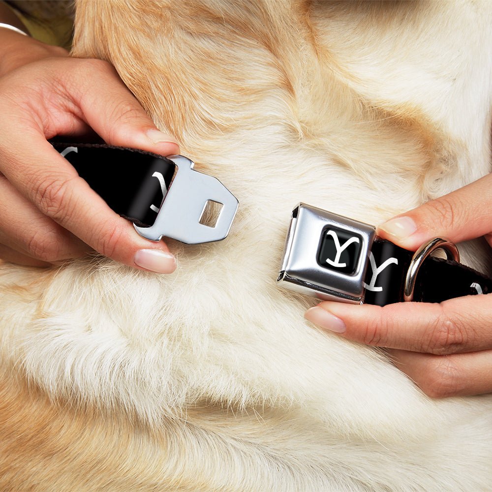 High-density polyester dog collar with Yellowstone branding.