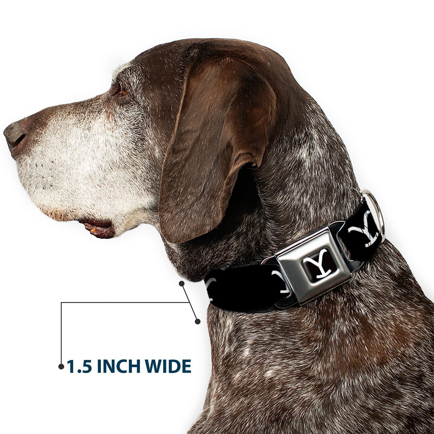 Yellowstone ranch logo pet accessory for dogs.