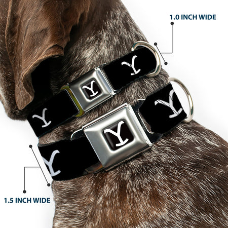 Close-up of the stainless steel seatbelt buckle on Yellowstone collar.