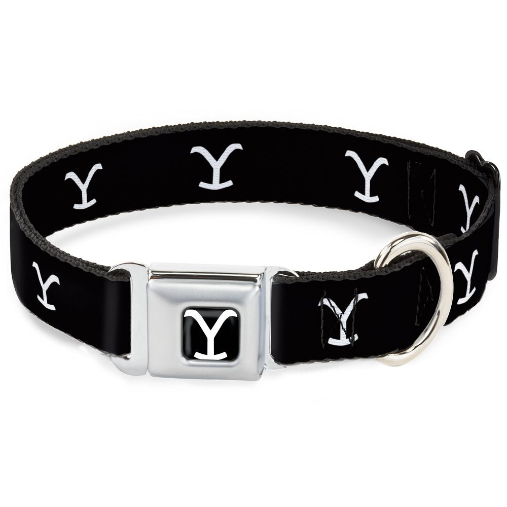 Yellowstone dog collar with Y logo on black strap.