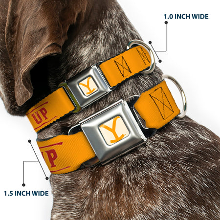 Close up of Cowboy Up weathered design on pet collar