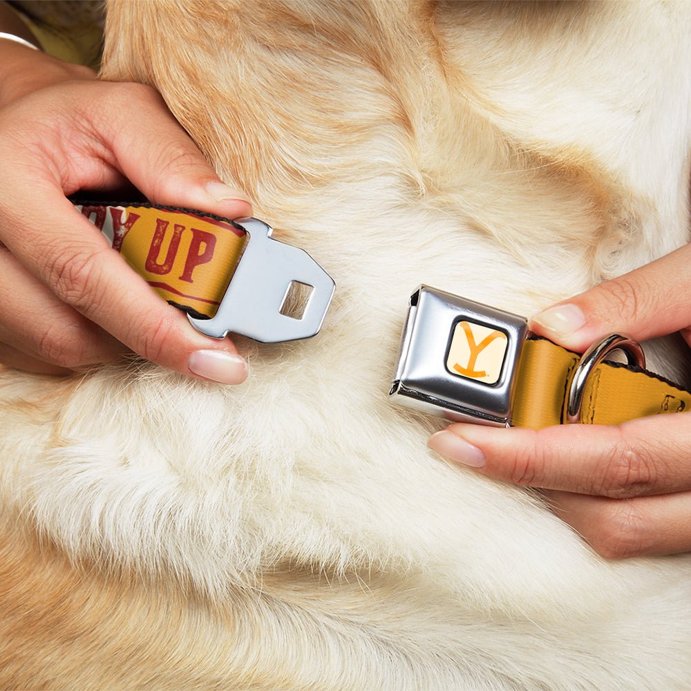Yellowstone Dog Collar Y Logo Weathered Cowboy Up Seatbelt Buckle White Yellow Red - Paramount Shop