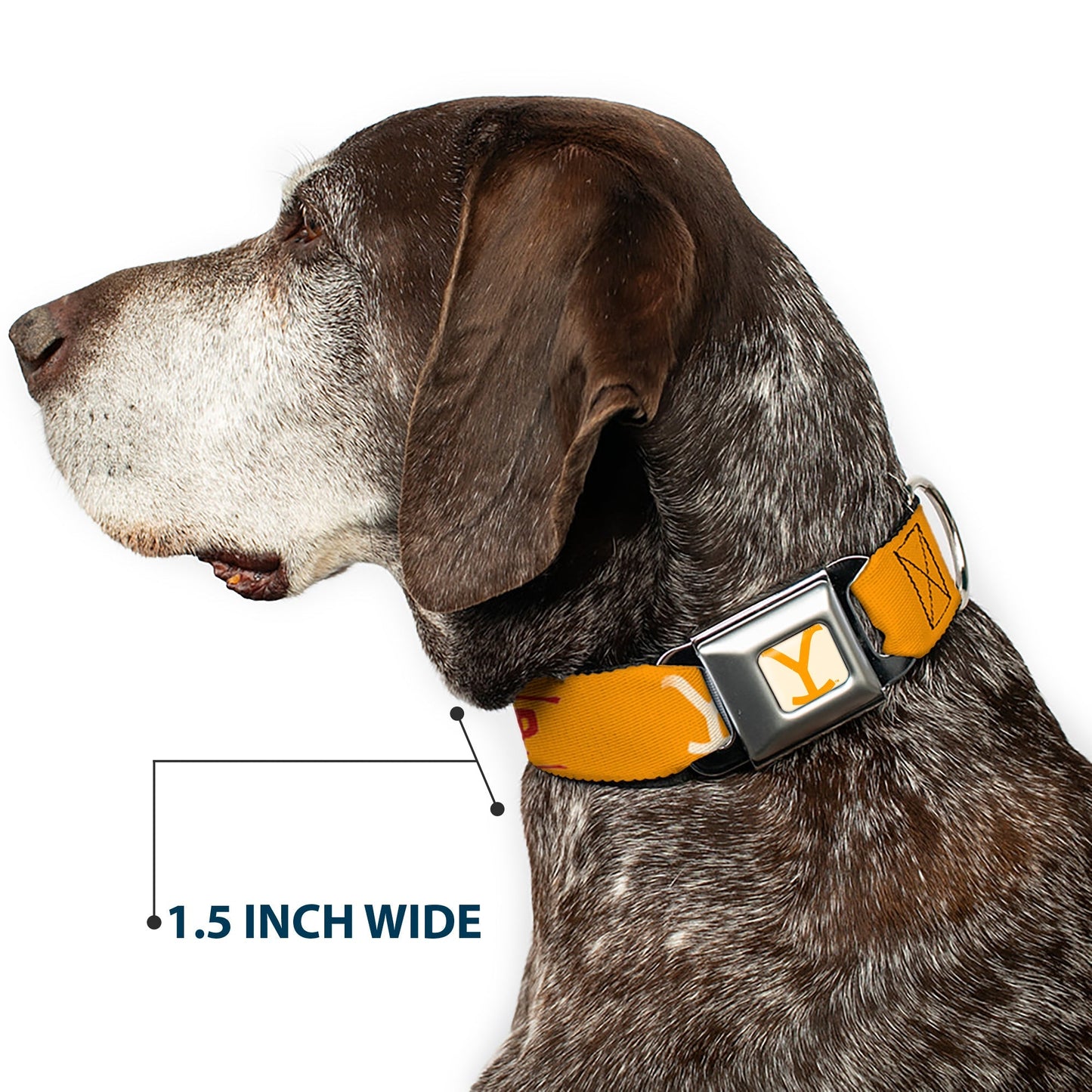 Yellowstone Dog Collar Y Logo Weathered Cowboy Up Seatbelt Buckle White Yellow Red - Paramount Shop