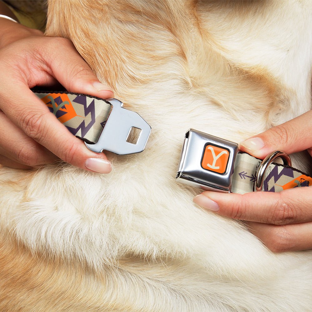 Yellowstone Dog Collar Y Logo Weathered Tribal Seatbelt Buckle Orange Blue - Paramount Shop