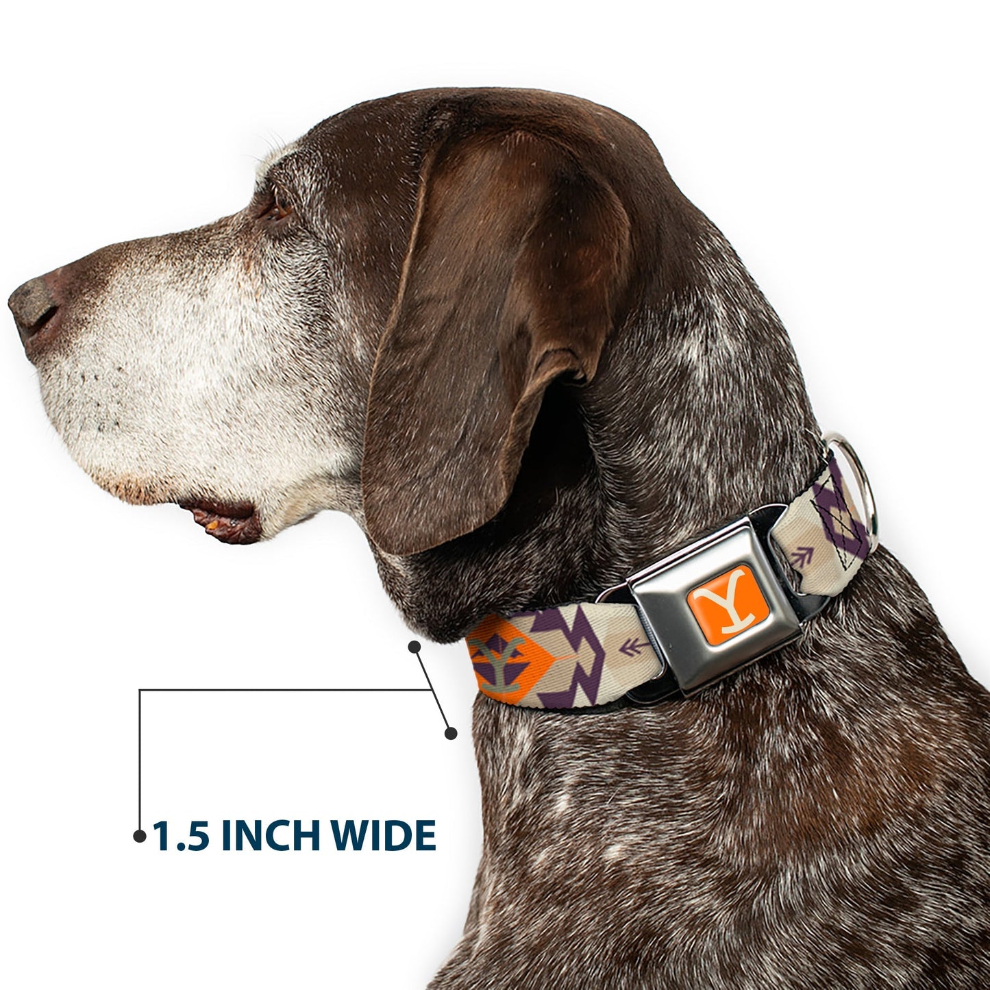 Yellowstone Dog Collar Y Logo Weathered Tribal Seatbelt Buckle Orange Blue - Paramount Shop
