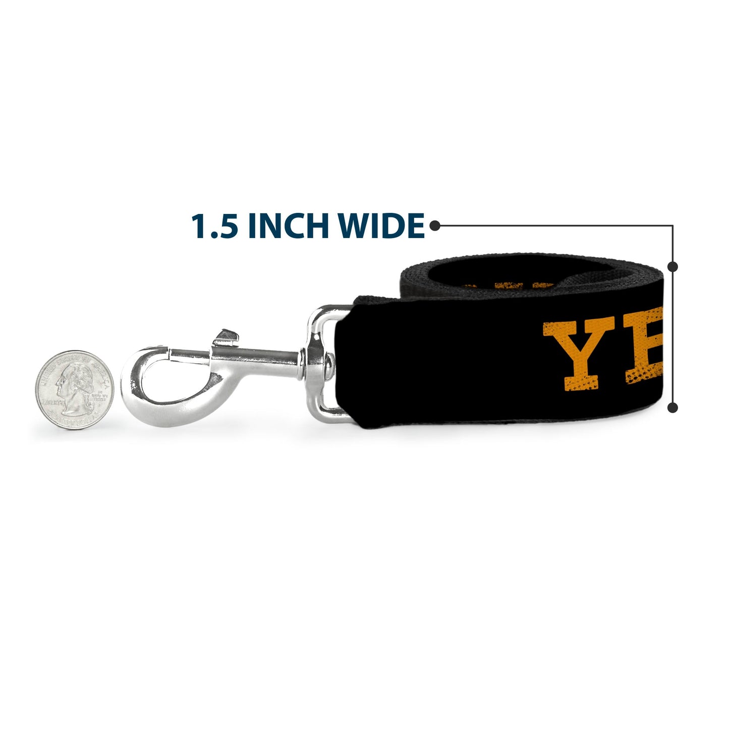 Official Yellowstone merchandise pet leash for ranch dogs