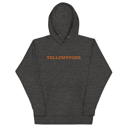 Yellowstone Hoodie Flaming Y Retro - Paramount Shop