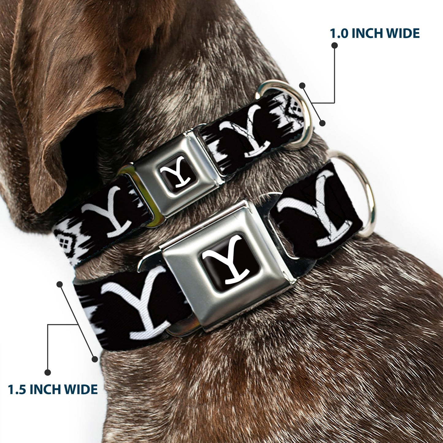 Technical Guide: Material: High-density polyester and steel. Closure Type: Seatbelt buckle release. Origin: Made in USA. Licensing: Official Paramount Yellowstone Merchandise. Adjustability: Multiple size ranges available with slide adjuster.