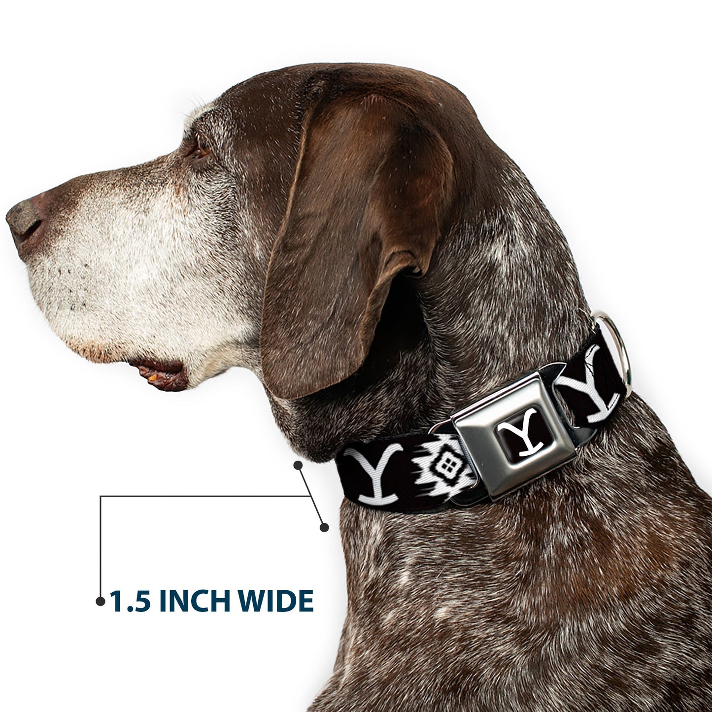 Yellowstone Logo Dog Collar Black/White Y Seatbelt Buckle - Paramount Shop