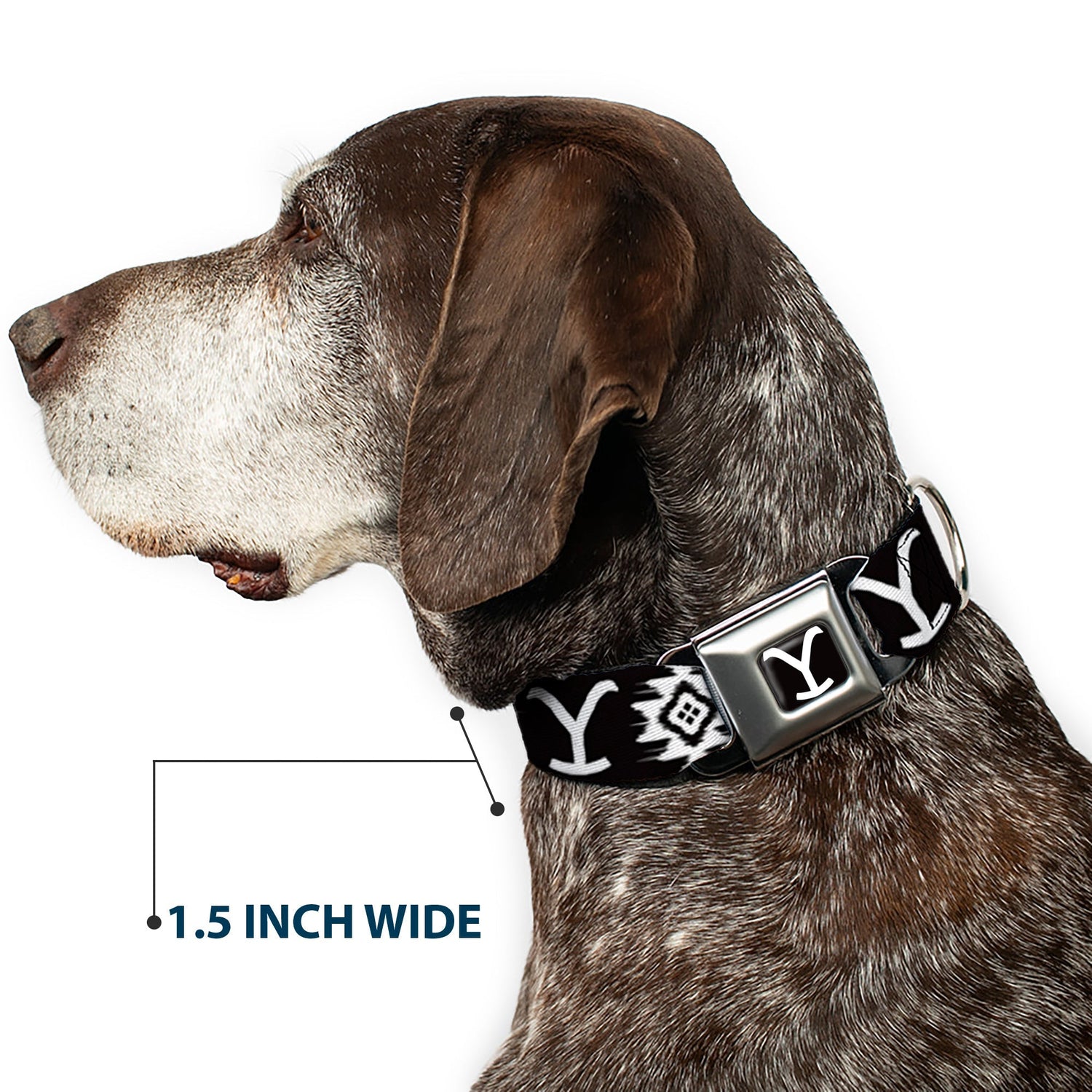 Yellowstone Logo Dog Collar Black/White Y Seatbelt Buckle - Paramount Shop