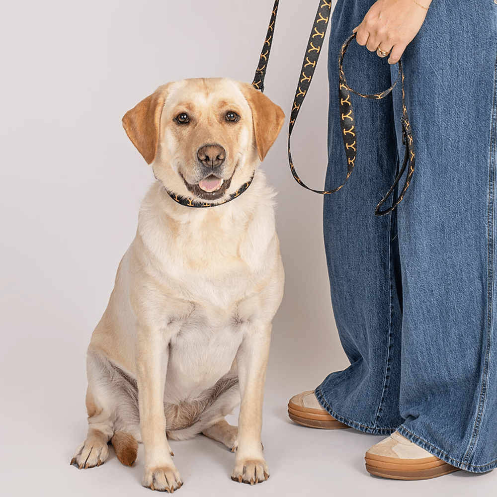 Yellowstone Logo Leash - Paramount Shop